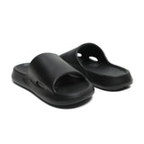 Dusky Terns - Black
