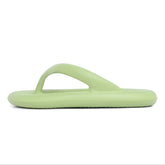 Sunbirds - Light Green