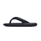 Sunbirds - Black