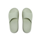 Dusky Terns (Green)