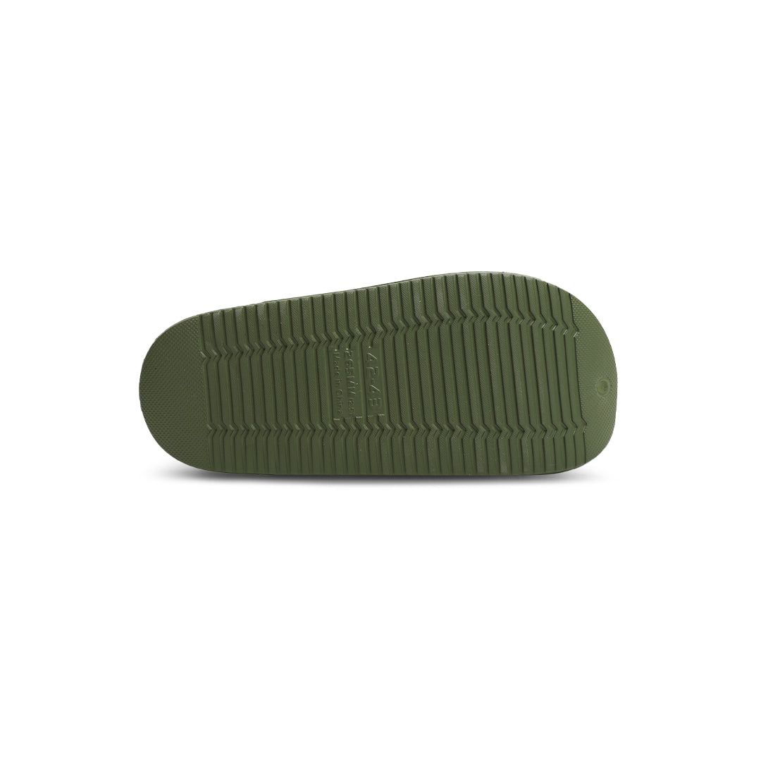 Mufflebirds (Green)