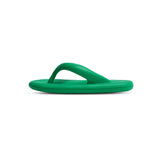 Sunbirds (Green)