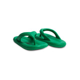Sunbirds (Green)