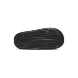 Dusky Terns (Black)