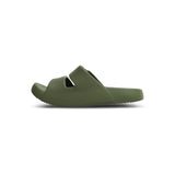 Mufflebirds (Green)