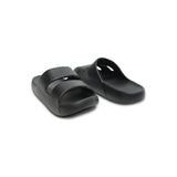 Mufflebirds (Black)