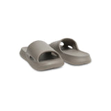 Dusky Terns (Grey)