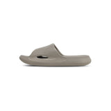 Dusky Terns (Grey)