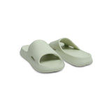 Dusky Terns (Green)