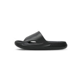 Dusky Terns (Black)