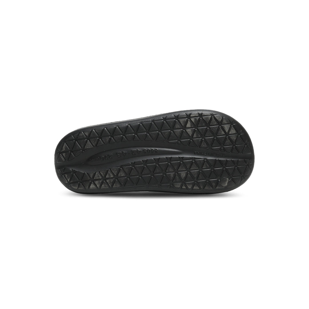 Dusky-Terns-Black-bottom-soleview