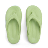 Sunbirds - Light Green