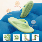 Sunbirds - Light Green